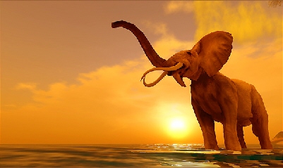 elephant-sunset